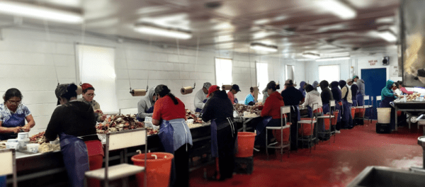 Crab Pickers at Work, Hooper's Island