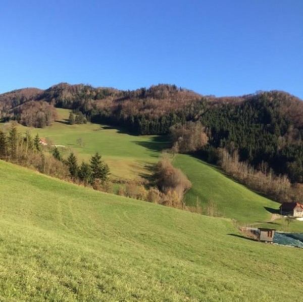 Field school in Austria 