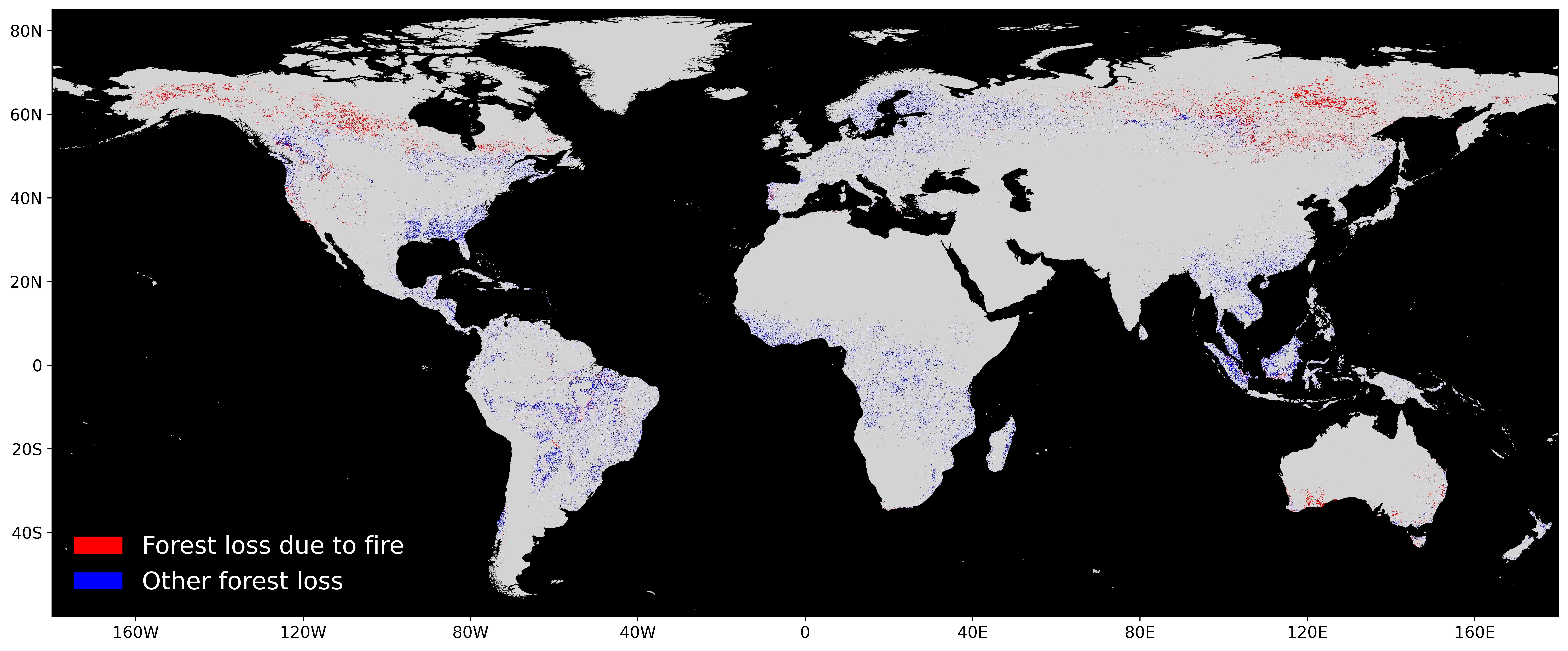 Global forest loss map