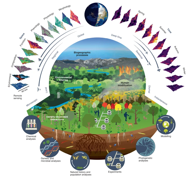 Figure illustrating integration of remote sensing and other tools to understand Earth biodiversity