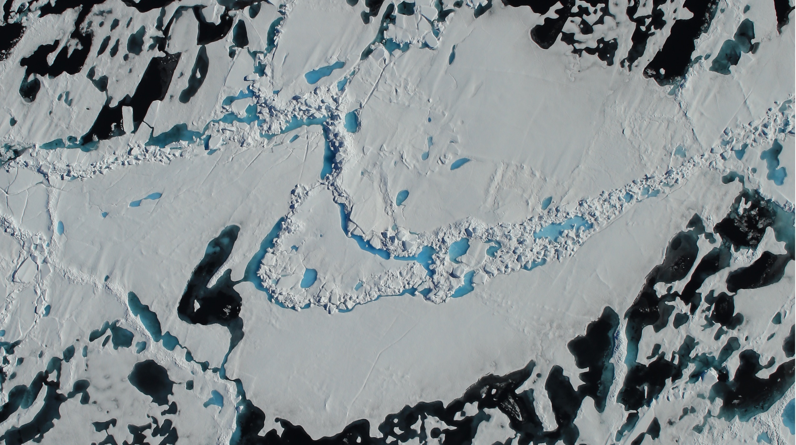 Sea Ice Melt in the Arctic Ocean