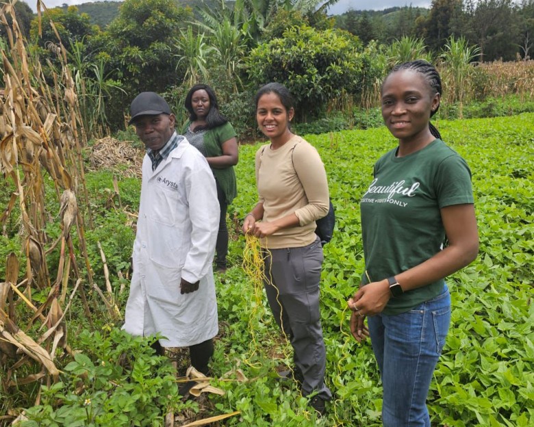 Ph.D. students in the field