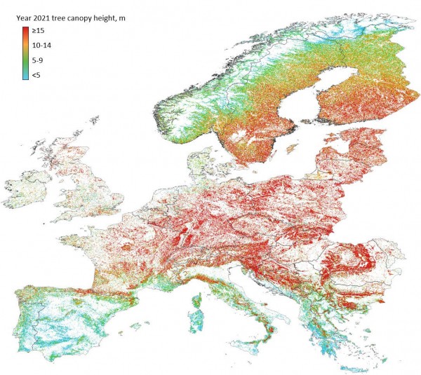 Europe tree cover