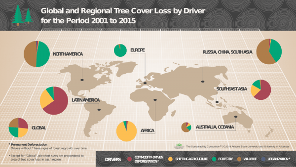 Tree Cover Loss