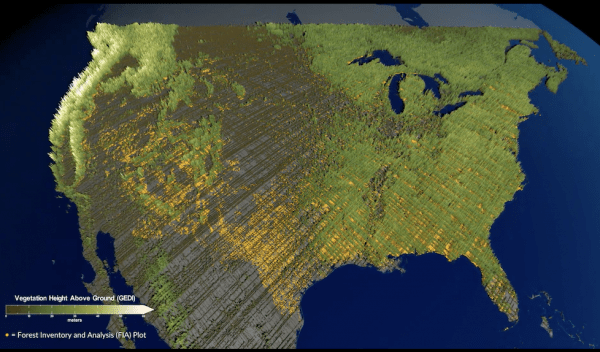 Old growth forest visualization of the United States