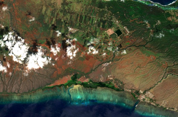 Satellite image of agricultural fields on Molokai 