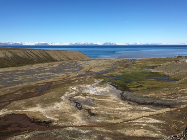 wetland methane and climate change