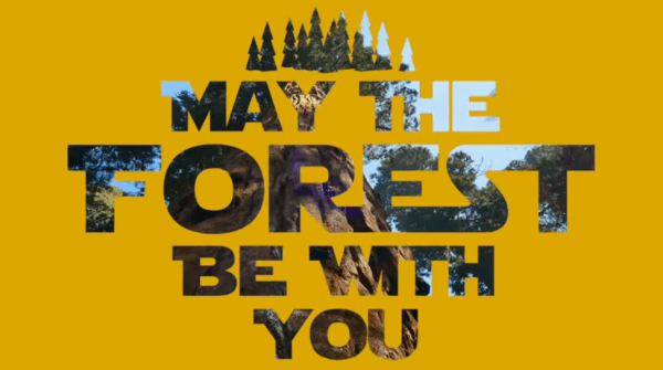 May the Forest Be With You