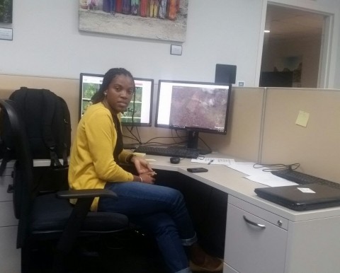 Visitor for the mapping of forest loss in Cameroon at the GLAD laboratory in College Park in 2017